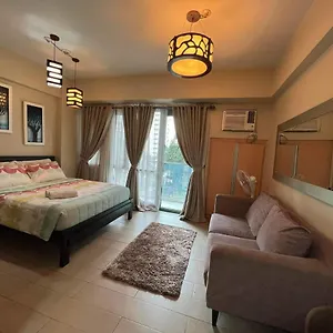 Naia Palm Tree 2 , Pasay Philippines